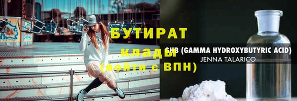 хмурый Арсеньев