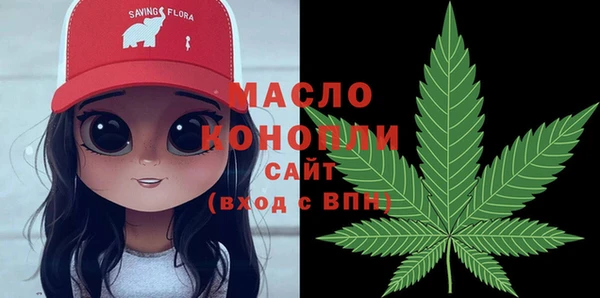 хмурый Арсеньев