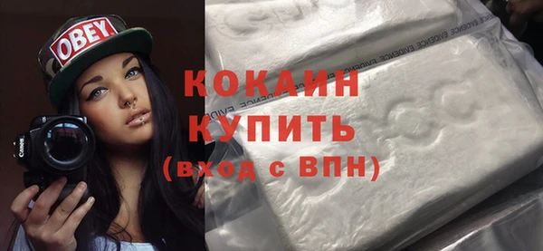 хмурый Арсеньев