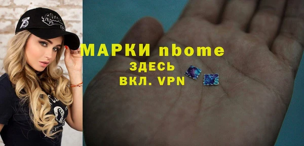 хмурый Арсеньев