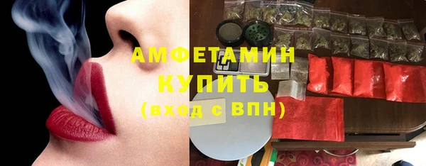 прущие грибы Аркадак