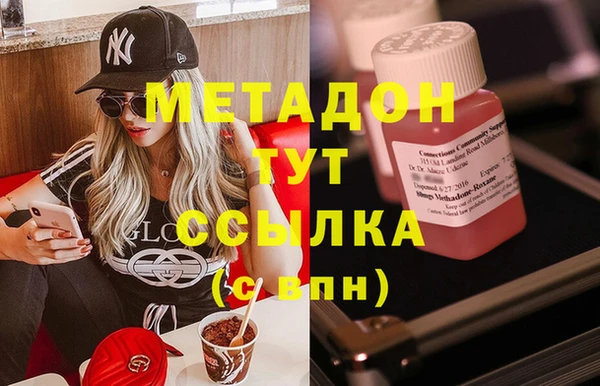 прущие грибы Аркадак