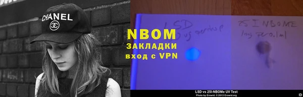 хмурый Арсеньев