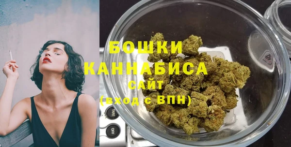 прущие грибы Аркадак