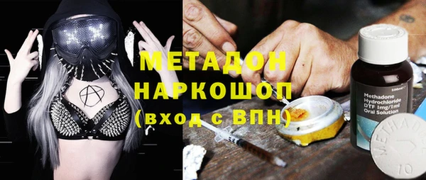 прущие грибы Аркадак