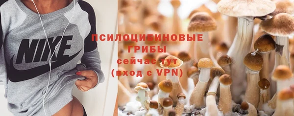 хмурый Арсеньев