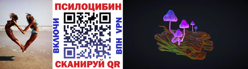 закладки  Липки  Псилоцибиновые грибы мухоморы 